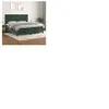 vidaXL Sommier à lattes de lit et matelas Vert foncé 200x200cm Velours