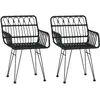vidaXL Chaises de jardin 2 pcs avec accoudoir Noir 56x64x80 cm
