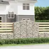 vidaXL Paniers à gabions arqués 13 pcs 200x50x160/180 cm Fer galvanisé