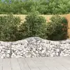 vidaXL Paniers à gabions arqués 18 pcs 200x50x60/80 cm fer galvanisé