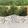 vidaXL Paniers à gabions arqués 10 pcs 200x50x60/80 cm Fer galvanisé