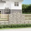 vidaXL Paniers à gabions arqués 20 pcs 200x50x160/180 cm Fer galvanisé