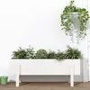 vidaXL Lit surélevé de jardin blanc 101x30x38 cm bois de pin massif