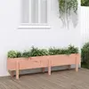 vidaXL Lit surélevé de jardin 160x30x38 cm bois douglas massif