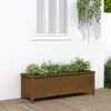 vidaXL Lit surélevé de jardin brun miel 119,5x40x39 cm bois pin massif