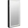 vidaXL Armoire à bijoux avec miroir et éclairage LED mural noir