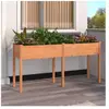 vidaXL Jardinière avec doublure marron 161x45x76 cm bois massif sapin