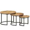vidaXL Tables gigognes 3 pcs bois de manguier massif brut