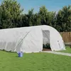 Vidaxl - Serre avec cadre en acier blanc 60 m² 12x5x2,3 m Blanc