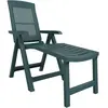 vidaXL Vidaxl Chaise Longue Vert Plastique