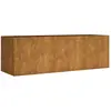 vidaXL Vidaxl Lit Surélevé De Jardin 120x40x40 Cm Acier Corten