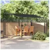 vidaXL Auvent anthracite 4x3 m 180 g/m² tissu et acier