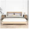 vidaXL Tables de chevet 2 pcs noir 40x30x55,5cm bois ingénierie et fer