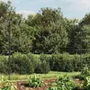 vidaXL Clôture en treillis métallique et ancrage anthracite 1,4x10 m