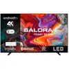 Salora SMART55TV