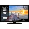 Salora MOBILE32TV, 81,3 cm (32"), 1920 x 1080 Pixel, LED, Smart-TV, WL...