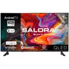 Téléviseurs : Salora QLED40TV