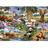 Puzzle 1000 pièces : Animaux sauvages