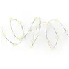 GENERIQUE Guirlande Solaire - Luminea - 9,9m - 100 Leds - Lumière Chaude - Extérieur