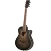 Fazley W55-COL-BK-EQ ColourTune guitare électro-acoustique folk noire