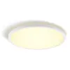 Philips Hue White Ambiance Panneau De Plafond Rond Tento WA LED 42,1 cm Blanc - Blanc