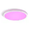 Philips Hue White & Color Ambiance Panneau De Plafond Rond Tento WCA LED 42,1 cm Blanc - Blanc