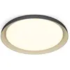 Philips 8720169301092 Pebblo Plafonnier LED LED 10 W noir Y955653