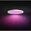 Philips Hue White Ambiance Surimu Panneau LED LED, 8720169159198,