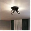 Philips Palms Spot 3 têtes sur platine ronde, E14 non inclus, Noir, IP20
