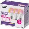 Ampoule moderne 3 ampoules 60 w A60 E27 - WIZ
