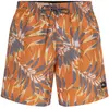 O´neill Short De Bain Cali Floral 16´´