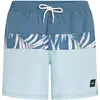 O´neill Short De Bain Cali Block 15´´