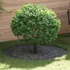 vidaXL Ensemble de Jardinières Noires Noir Plastique Grand Durable