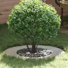 vidaXL Pot de fleur galvanisé  Galvanisé Métal galvanisé Moyen Durable
