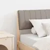 vidaXL Tête de lit capitonnée Taupe 80 cm Pin massif