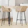 vidaXL Chaise de bar 2 pcs Naturel 55 x 52 x 105 cm Rotin et métal