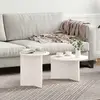 vidaXL Ensemble de tables basses 2 pcs Blanc 49 x 49 x 28 cm