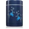 Fresk Boîte Isotherme Pour Aliments 300ml