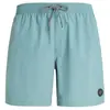Protest Speed Beachshort - Maillot de bain Arcticgreen M
