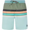 Protest - PRTAvik - Boardshort taille S, gris