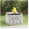 The Living Store - Foyer en gabion ø 100 cm fer galvanisé Argent