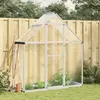 vidaXL Serre avec cadre de base argent 169x58x195 cm aluminium