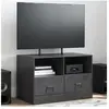 vidaXL Meuble TV noir 67x39x44 cm acier