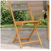 vidaXL Chaises de bistrot lot de 2 gris bois d'acacia et polypropylène
