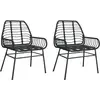 vidaXL Chaises de jardin 2 pcs Noir Résine tressée