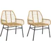 vidaXL Chaises de jardin lot de 2 marron résine tressée