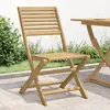 vidaXL Chaises pliables de jardin 2 pcs bois massif d'acacia