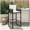 vidaXL Tabourets de bar jardin coussins lot de 2 noir résine tressée