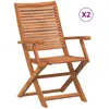 vidaXL Chaises pliantes de jardin avec accoudoir lot de 2