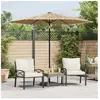 vidaXL Parasol de jardin avec mât en acier marron 268x268x226 cm